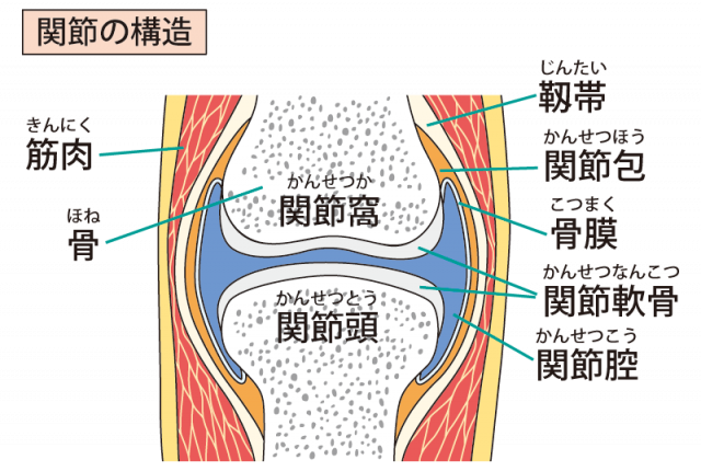 ガングリオン 沖縄の整体 医師の推薦あり 沖縄北谷あさひ整骨院ハンビータウン院